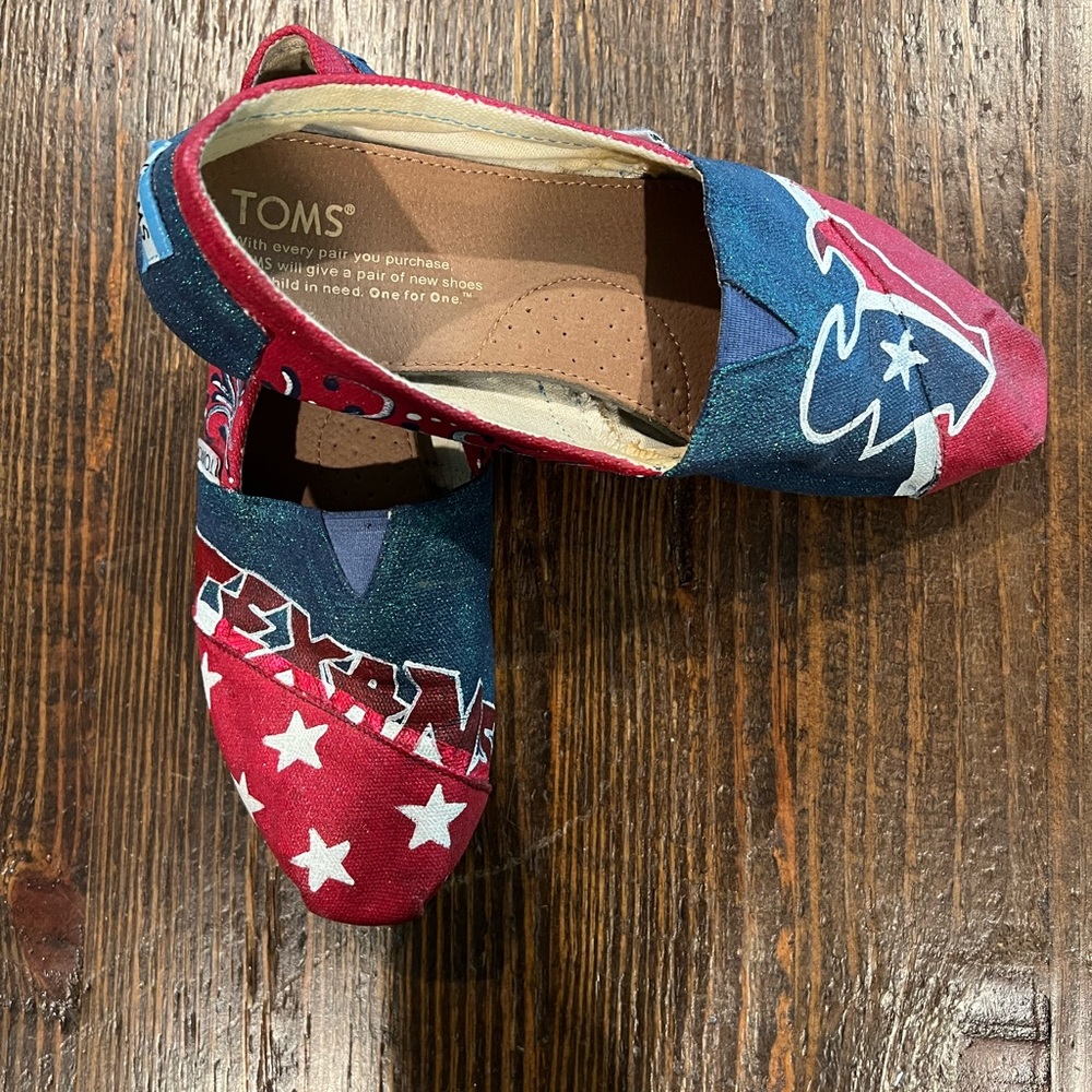 Toms Houston Texans Hand Painted design